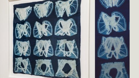 Art Class 16. Cyanotype: Fotos on Fabric with Suda House