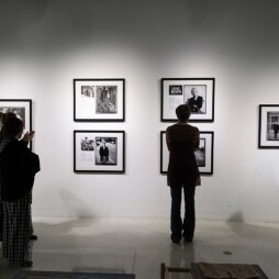 Opening Receptions: 'Reencuentros/MFA' Exhibition
