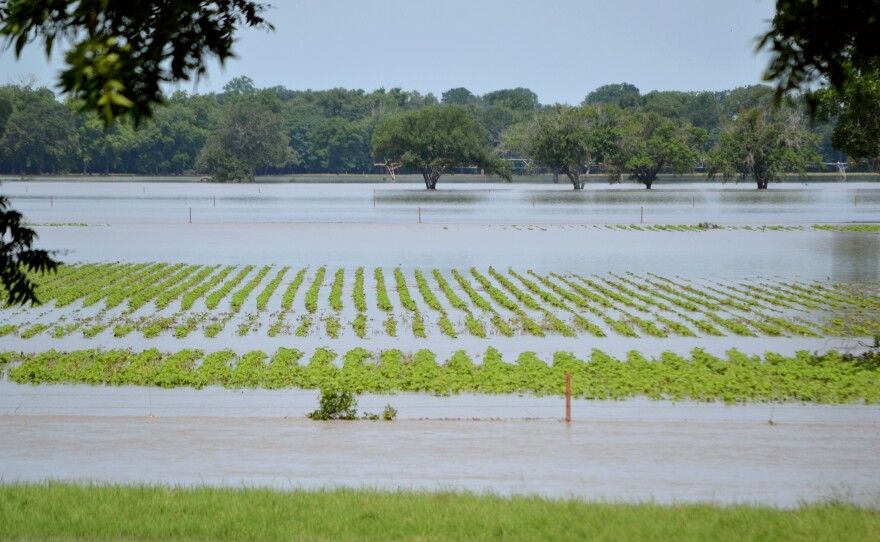 Farmers in Texas have gone from having to deal with too little water to too much.