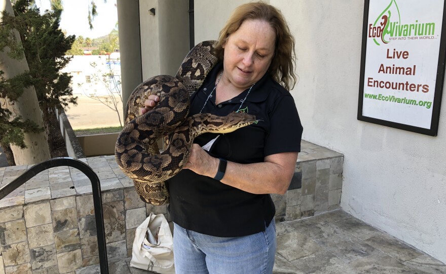Susan Nowike holds a huge snake outside Escondido's EcoVivarium on Apr. 9, 2021.