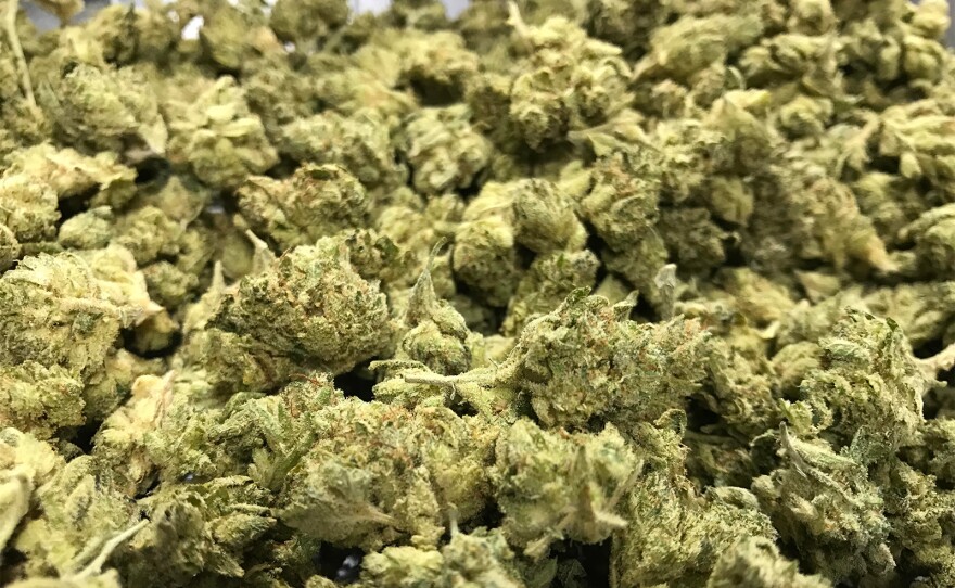 A pile of dried cannabis buds is seen here, Aug. 31, 2017.
