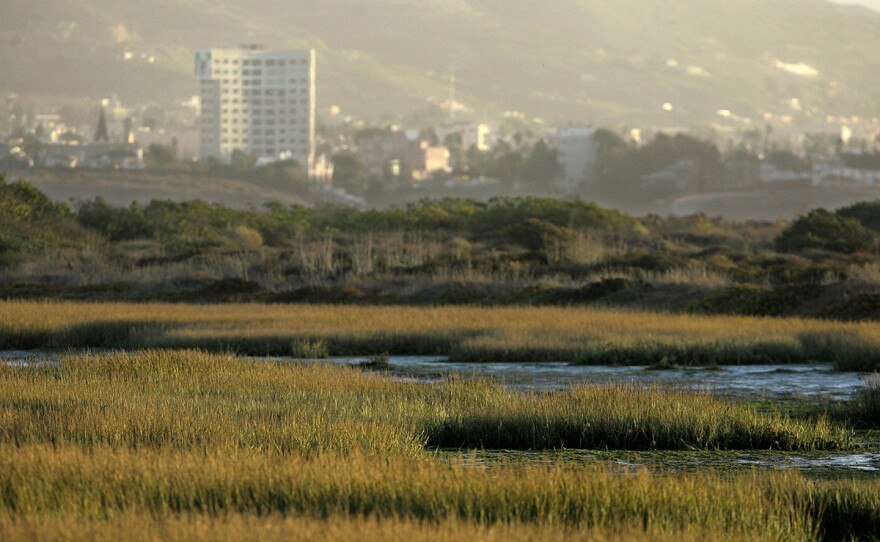 The Mexican border town of Tijuana is shown in the distance near the Tijuana Estuary, foreground, near Imperial Beach, Calif., Jan. 7, 2008.