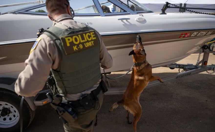 Rose guides Allee as she sniffs watercraft at Thermalito Forebay in Oroville to search for golden mussels.