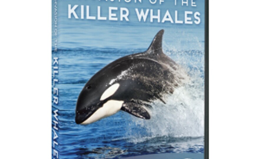 Give $60 and get the NATURE “Invasion Of The Killer Whales” DVD. This gift includes a KPBS License Plate Frame (if you're a new member). Also enjoy access to KPBS Passport and myKPBS Film Club.