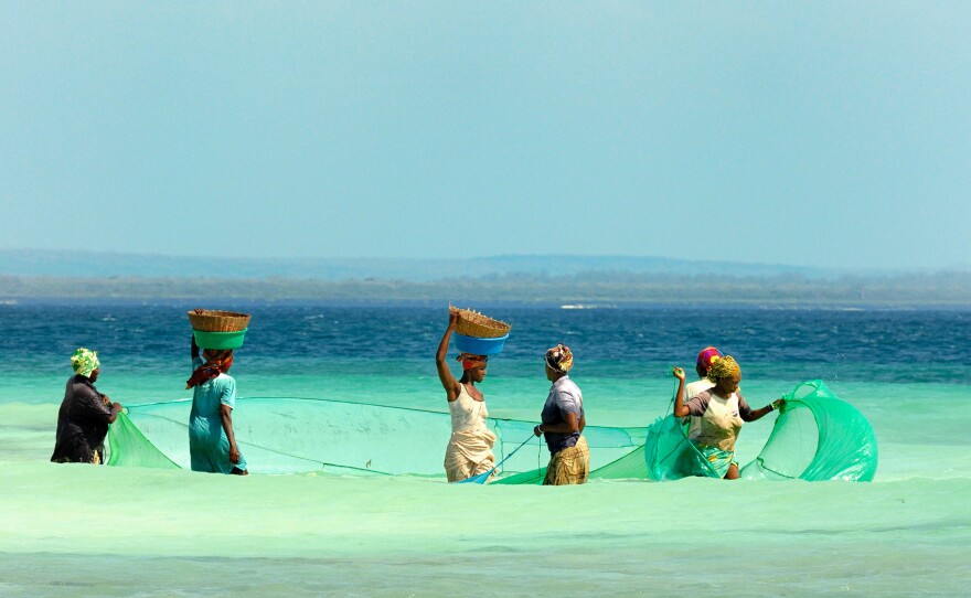Women from a traditional sea-harvesting community fish in Mozambique.