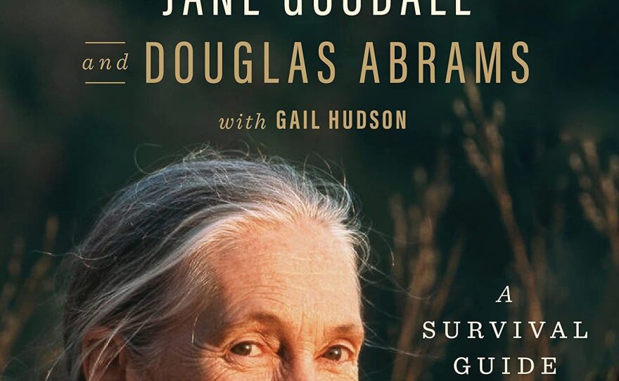<em>The Book of Hope: A Survival Guide for Trying Times,</em> by Jane Goodall and Douglas Abrams, with Gail Hudson