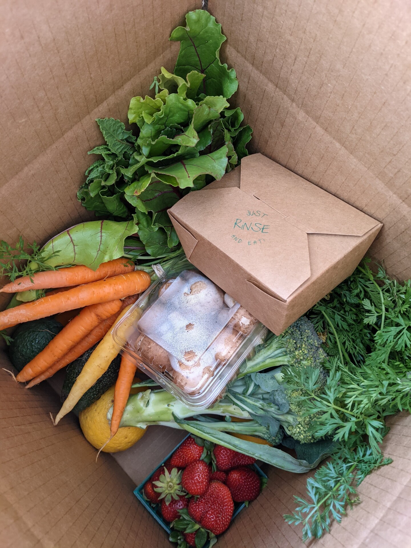 Fruits and vegetable harvested from the Community Roots Farm in Oceanside, Calif. are shown in this undated photo.