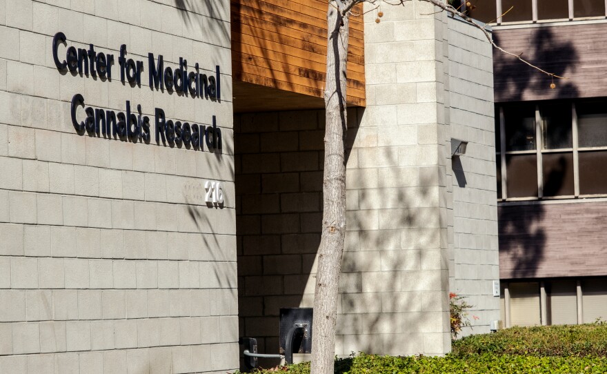 The UC San Diego Center for Medical Cannabis Research is one of two research teams receiving $1 million to look into the impact of cannabis and CBD on pain management, San Diego February 2, 2022.