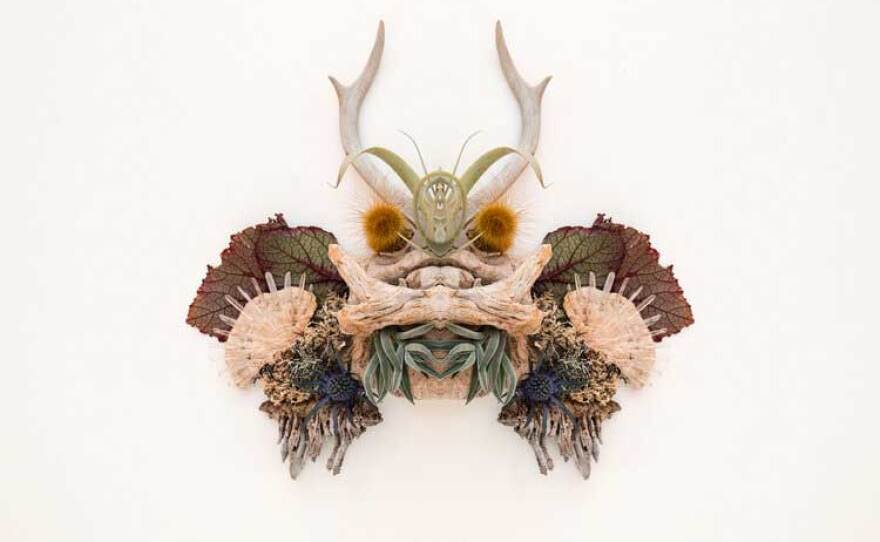 "Cuddlefish Face" by Britton Neubacher is on view at Trash Lamb Gallery through Aug. 8, 2021.