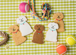 SusieCakes Dog Days of Summer Fundraiser