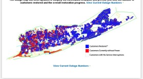 Long Island Power Authority's
