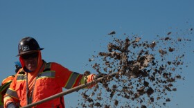 A SANDAG construction worker spreading crushed oyster shells during a restoration project at the nesting site for the California least terns at Batiquitos Lagoon, Dec. 9, 2025.