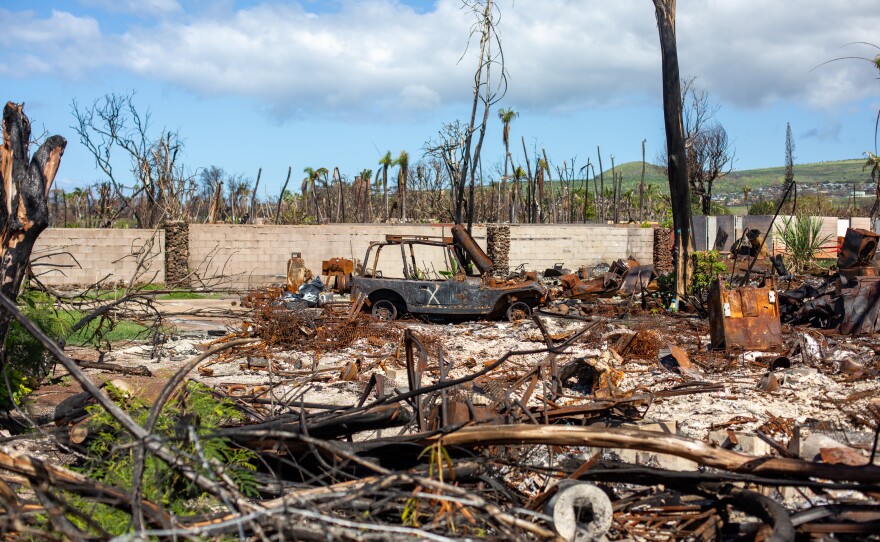Hundreds of students were affected by a devastating wildfire in Lahaina, Hawaii, in August 2023. The University of Hawai'i Maui College gave affected students emergency funds immediately.
