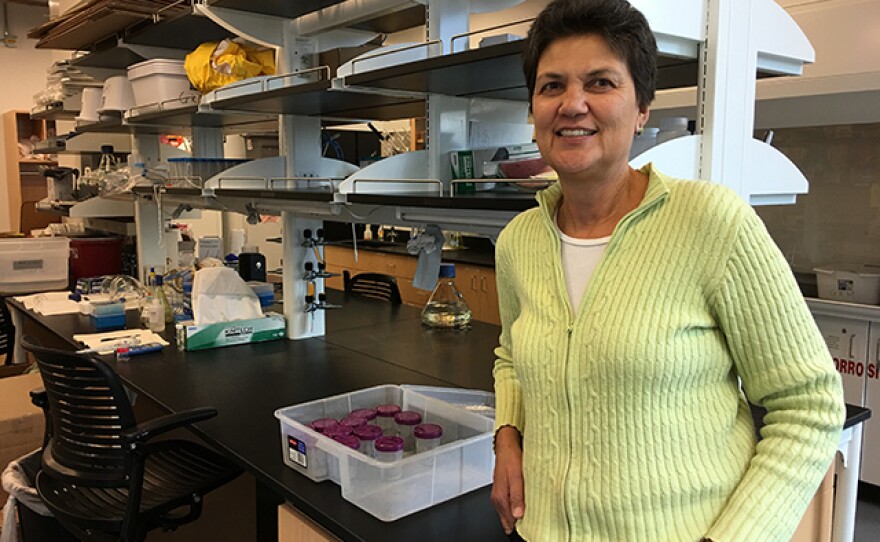 NAU analytical chemistry professor Jani Ingram poses in her lab in this undated photo.
