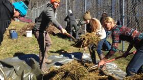 Katrina Spade (orange hat) of the Urban Death Project works with student volunteers to prepare a mulch pile at the Western Carolina University Forensic Osteology Research Center in this undated photo. 