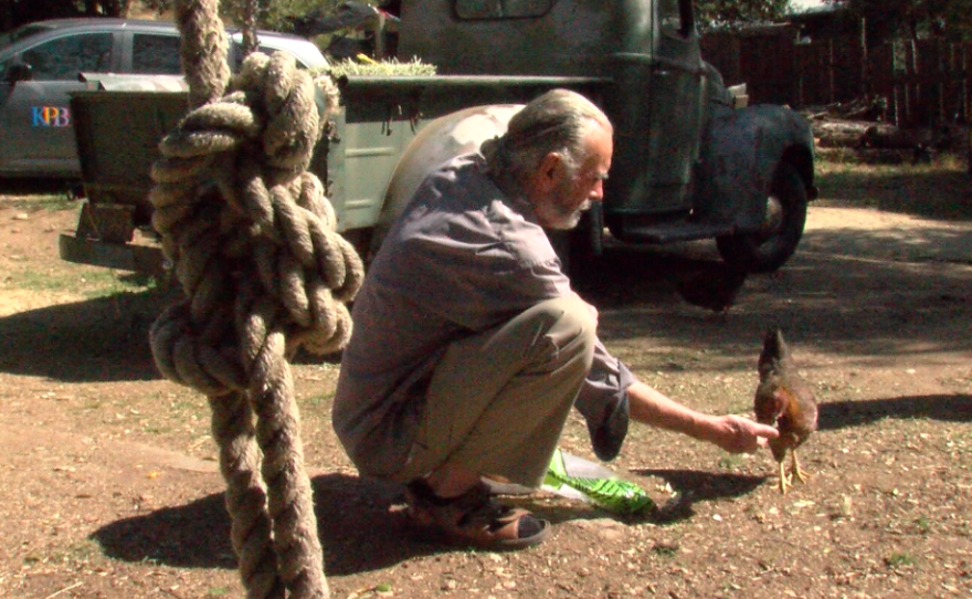 Duncan McFetridge feeding one of his chickens, Oct. 7, 2016.