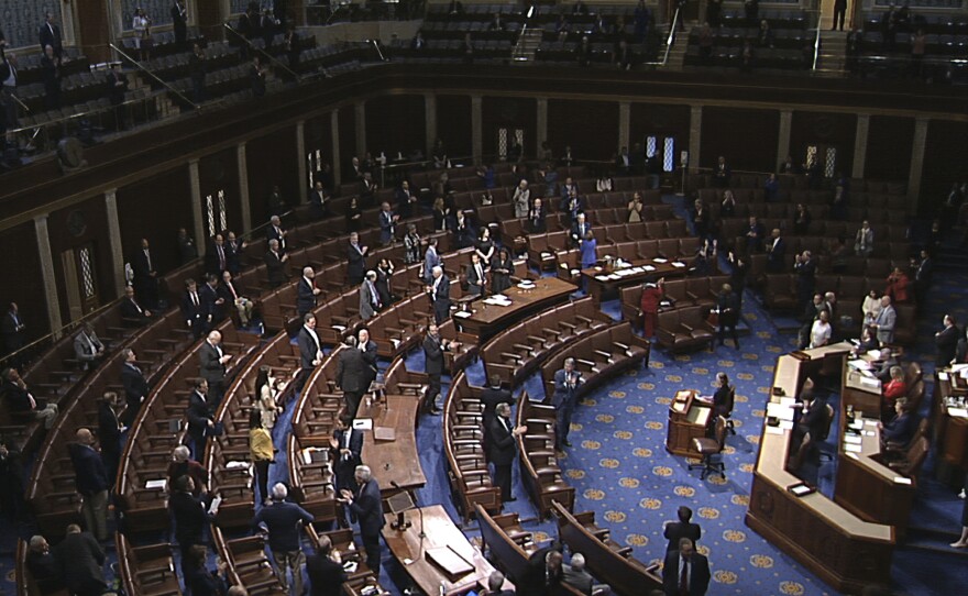 In this image from video, members of the House stand after they passed the $2 trillion plus coronavirus stimulus package on the floor of the House of Representatives in March.