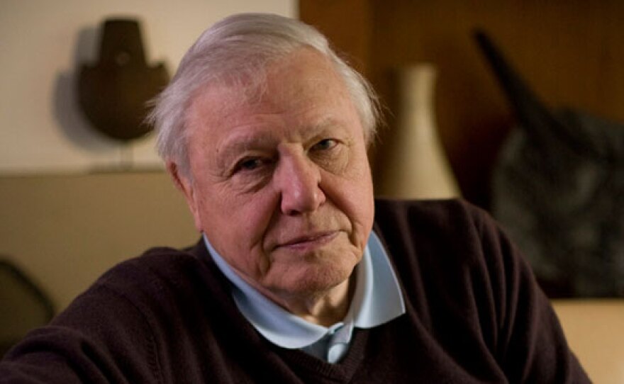 Sir David Attenborough