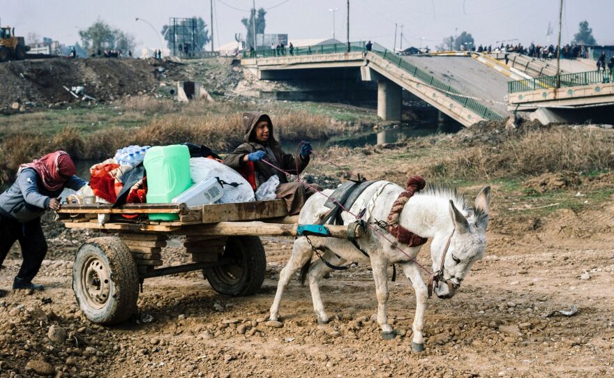 An Iraqi man guides a donkey-drawn cart at a makeshift river crossing next to a bridge destroyed by fighting between the Iraqi army and Islamic State in Mosul. The Tigris River divides the city, with the army retaking the east, but ISIS still holding the west.