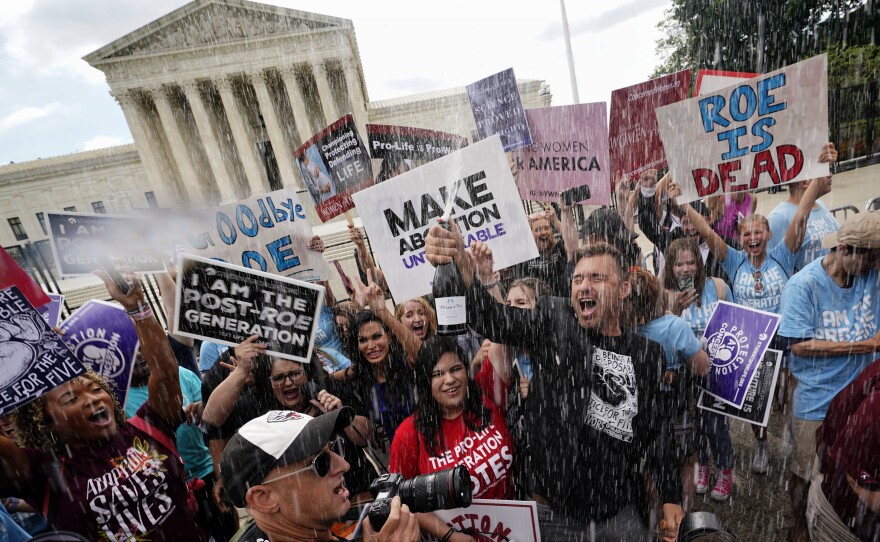 File photo of anti-abortion advocates celebrating outside the Supreme Court in Washington on June 24, 2022, following the court's decision to end constitutional protections for abortion that had been in place for nearly 50 years.