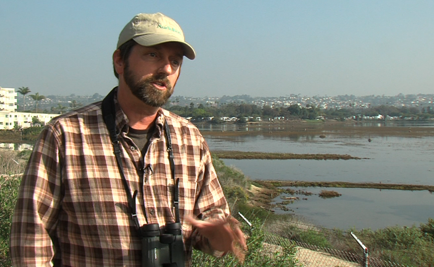 Chris Redfern, executive director of the San Diego Audubon Society, talks about the threat of climate change to the long-billed curlew at the Kendall Frost Marsh in Mission Bay, Jan. 21, 2015.