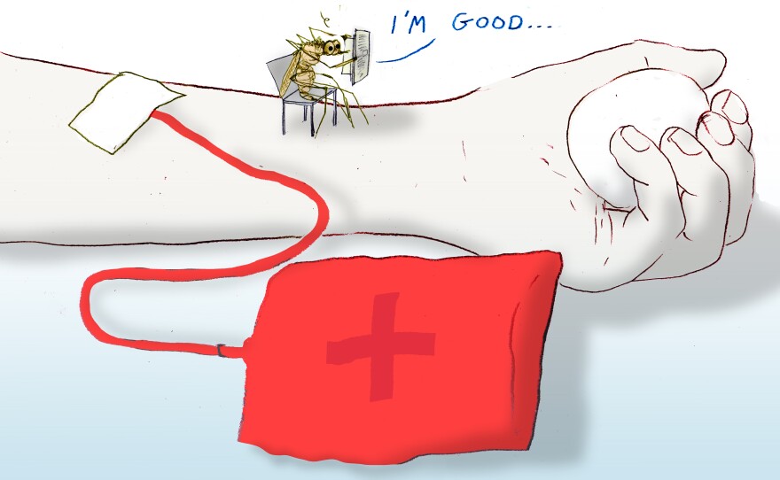 Scientists Try Feeding Diet Drugs To Mosquitoes To Stop Them From Biting