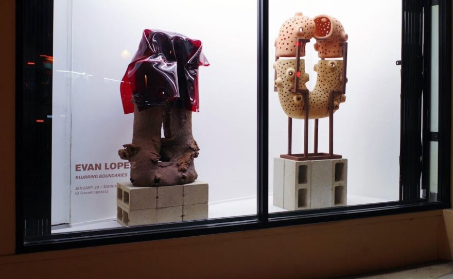 Evan Lopez's "Blurring Boundaries" sculptural installation is viewable in the street-side window of Mortis Studio in Golden Hill, through Mar. 6, 2022.