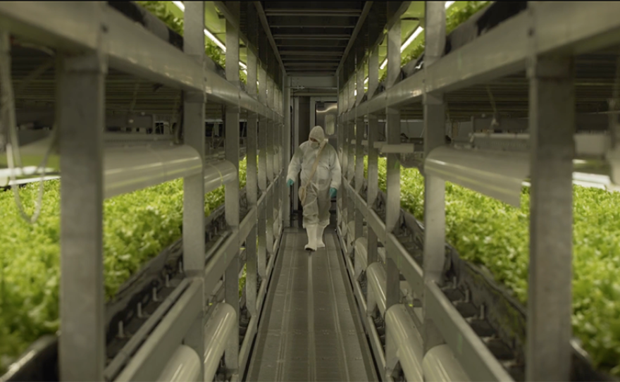 Vertical Farming at SPREAD, Kyoto, Japan.