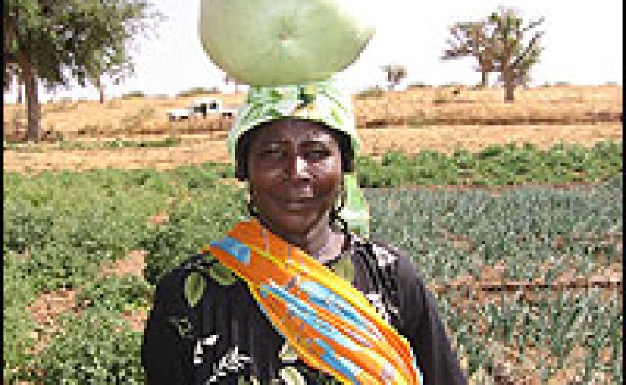 Hasahna, who lives in Adouna, Niger, says drought can mean starvation for many in the Sahel region of Africa.