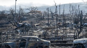 The historic city of Lahaina on Maui was once the royal capital of Hawaii. It was destroyed by a wildfire on August 8 last year. This picture was taken on August 18, 2023.