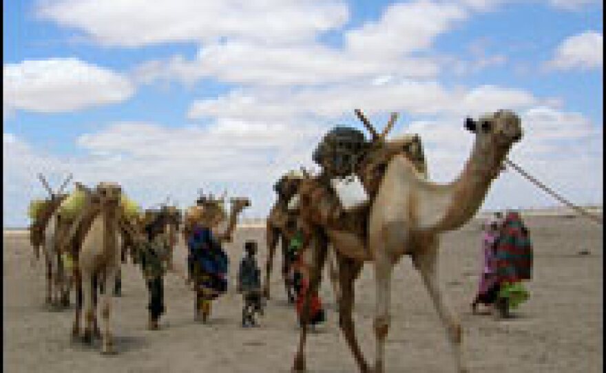 Local water sources have dried up, forcing people to walk more than 40 miles to find water and haul it back with their camels.