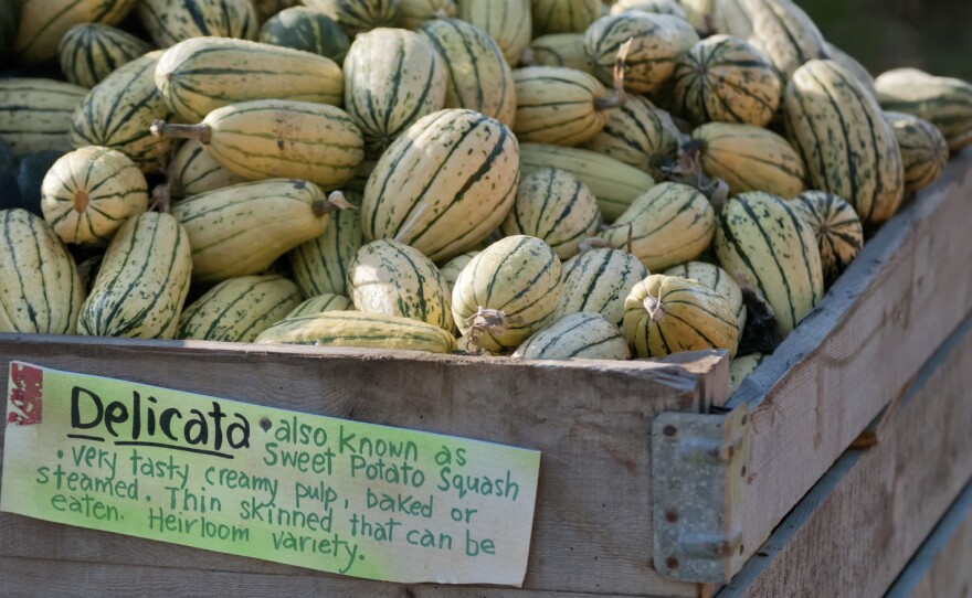 Delicata and acorn squash are best eaten in the first few weeks after harvest.