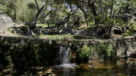 Water flows cascades over a small waterfall in Felicita Creek in Escondido, California on April 11, 2025. The creek runs through Felicita County Park.