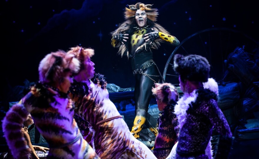 A 2019 photo of actor McGee Maddox as Rum Tug Tugger in "Cats."