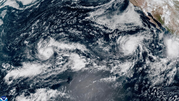 This satellite image from the National Oceanic and Atmospheric Administration shows three storms in the Pacific Ocean on Thursday, Sept. 24, 2026. Tropical Storm Nolo, left, is south of Hawaii. Hurricane Polo, right, is off the coast of Mexico. Hurricane Odalys is in the middle.
