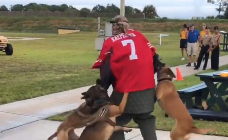 A screenshot of a video posted on Twitter by Billy Corben shows a K-9 demonstration with a man wearing a Colin Kaepernick jersey.