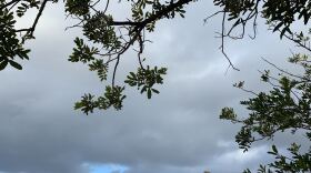 Storm clouds over San Carlos are shown above, March 26, 2020.