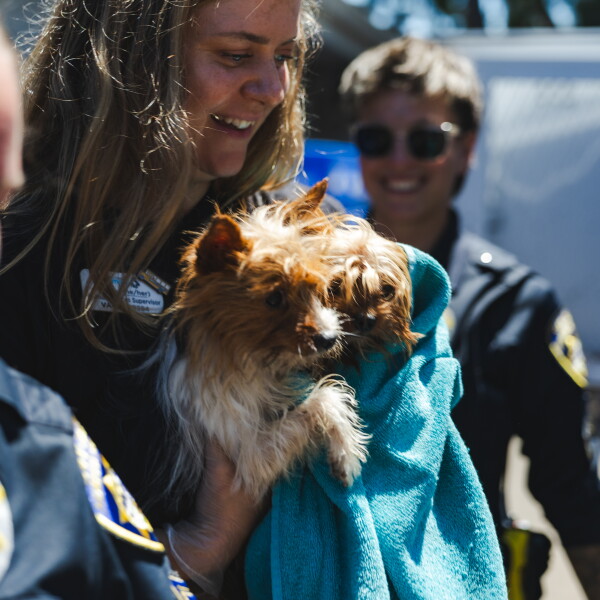 San Diego Humane Society Faces Animal Overcrowding, Offers Adoption Discount
