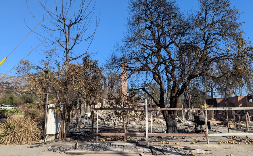 Remnants of a house that was burned down by the Eaton fire in Altadena, Calif. photographed on Jan. 20, 2025.