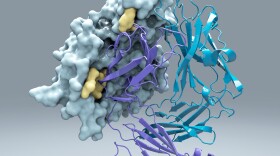 Protein M latched on to every antibody Scripps scientists threw at it, which could explain why the bacteria they studied is so good at infecting hosts.