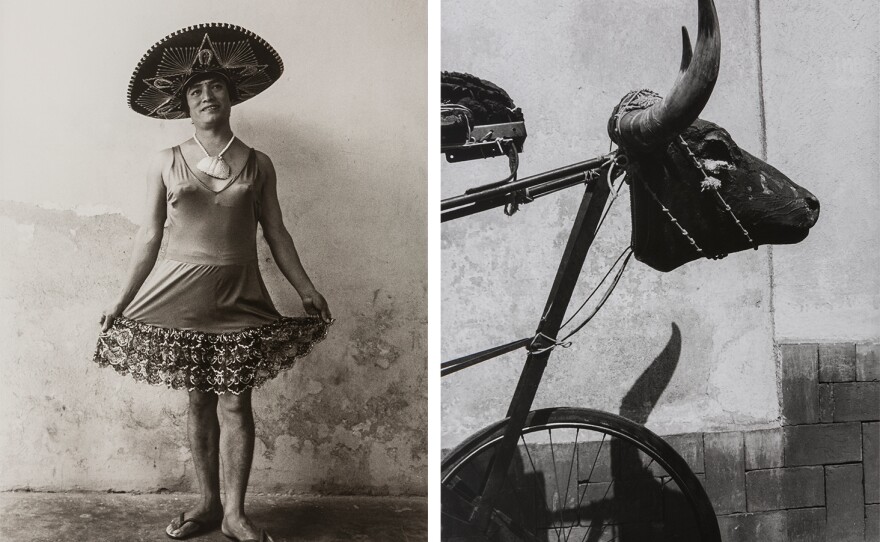 Left: <em>Magnolia with Sombrero</em>. Right: <em>Little Bull</em>.