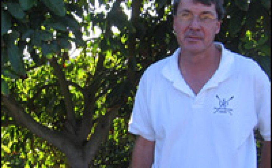 Al Stehly, who grows avocados on a steep slope in Valley Center, Calif., is preparing to cut about a quarter of his trees to about four feet tall in order to cope with a reduced water supply.