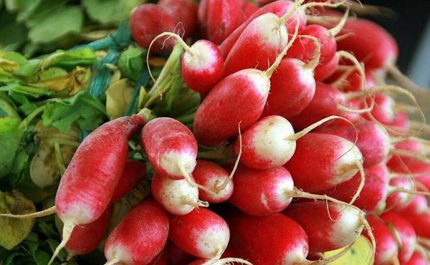Cherry Belle radishes grow superfast.