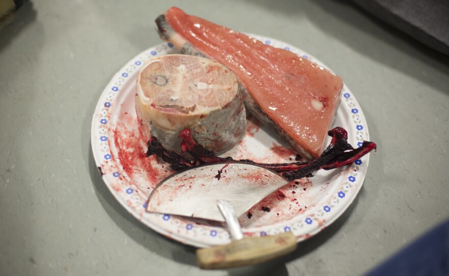 On the menu at an Arctic Bay community feast: raw seal ribs, frozen arctic char and narwhal maktaq. Community feasts are held at the Community Hall, where everyone gathers to collect nutritious country foods donated by hunters. The curved ulu knife is used by women to cut skins and butcher animals and as an eating utensil.