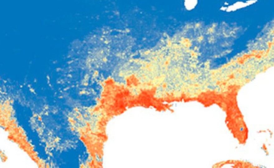 This map shows the predicted distribution of Aedis aegypti, the mosquito that can carry the Zika virus. The redder the area, the likelier you are to find A. aegypti there.