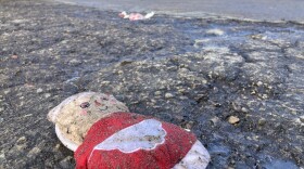 Southeast San Diego floodwaters leave behind mud, debris, and a soiled doll on Jan. 23, 2023