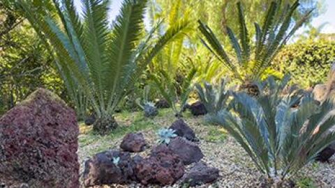 'Majestic Gardens of Historic Marston Hills'