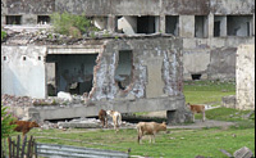 Animals graze near a crumbling building in Abkhazia.