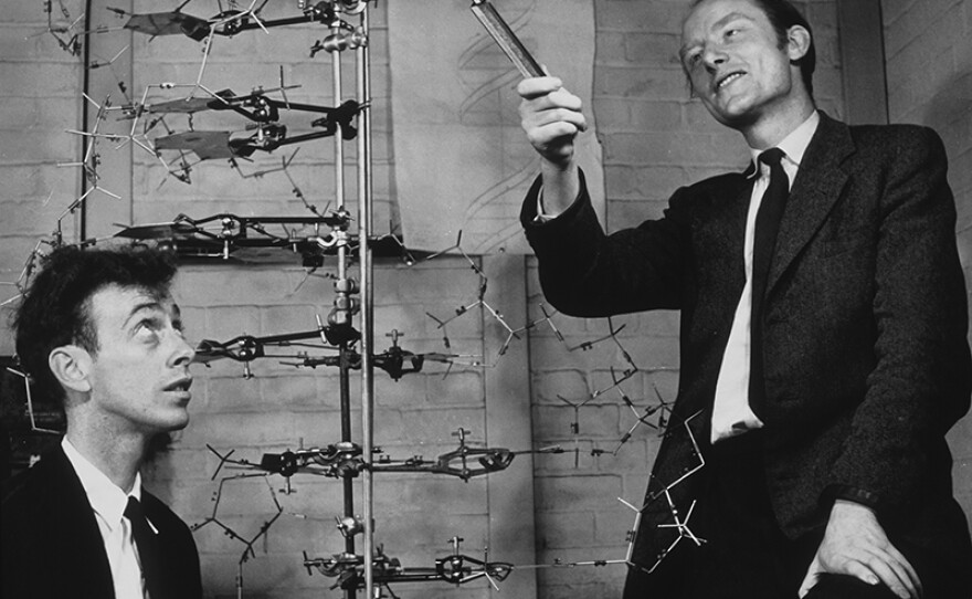 (l to r) James Watson and Francis Crick photographed with a DNA model in the Cavendish Laboratory, University of Cambridge, May 1953.