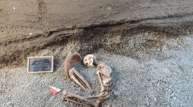 This image released by the Italian Culture Ministry on Monday, April 27, 2026, shows a victim of the AD 79 eruption of Mount Vesuvius, in the Pompeii archaeological area near Naples in southern Italy.